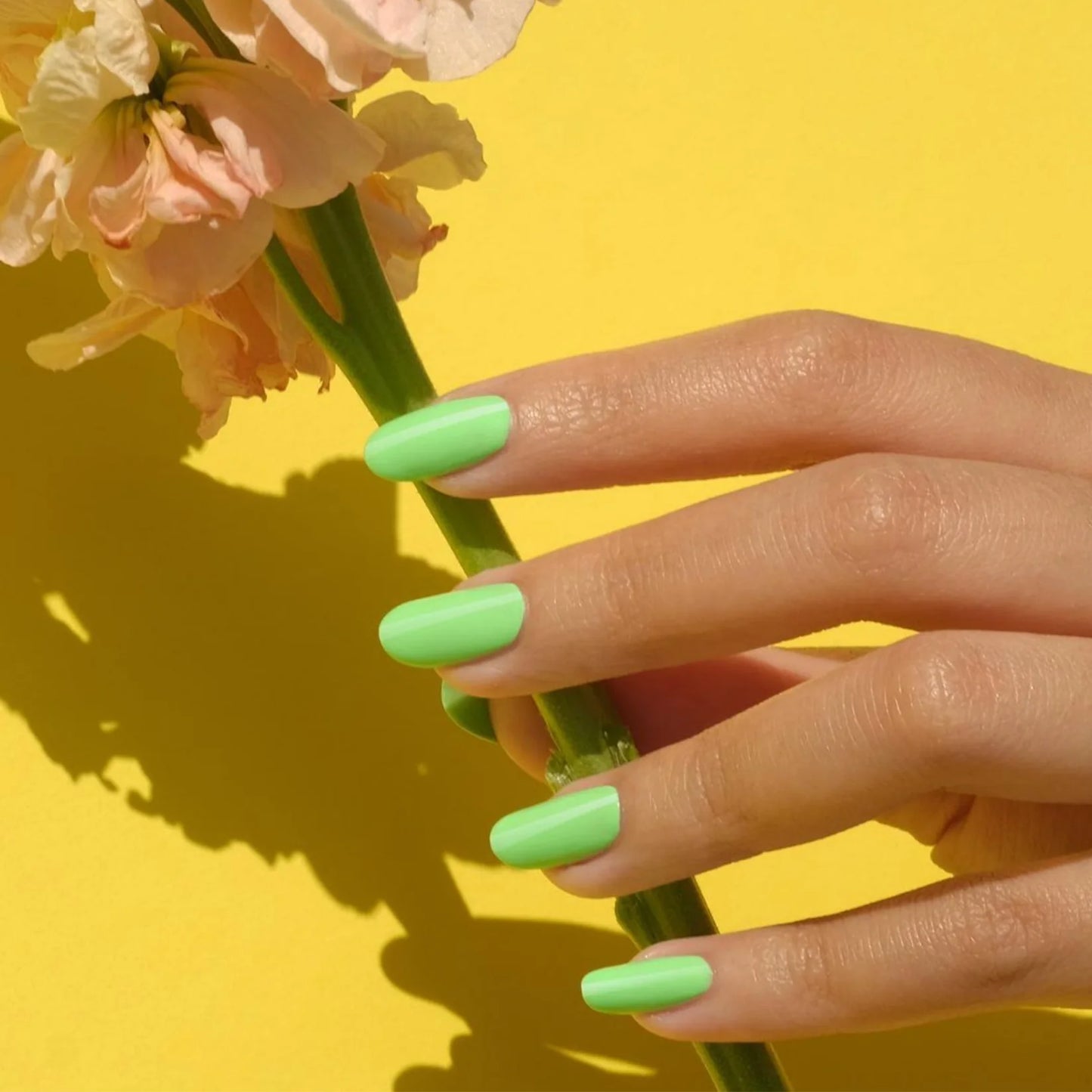 #568 - Esmalte en gel DND UV/LED Soak Off - Bosque verde